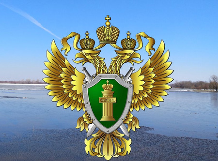 Осторожно, дикие звери!