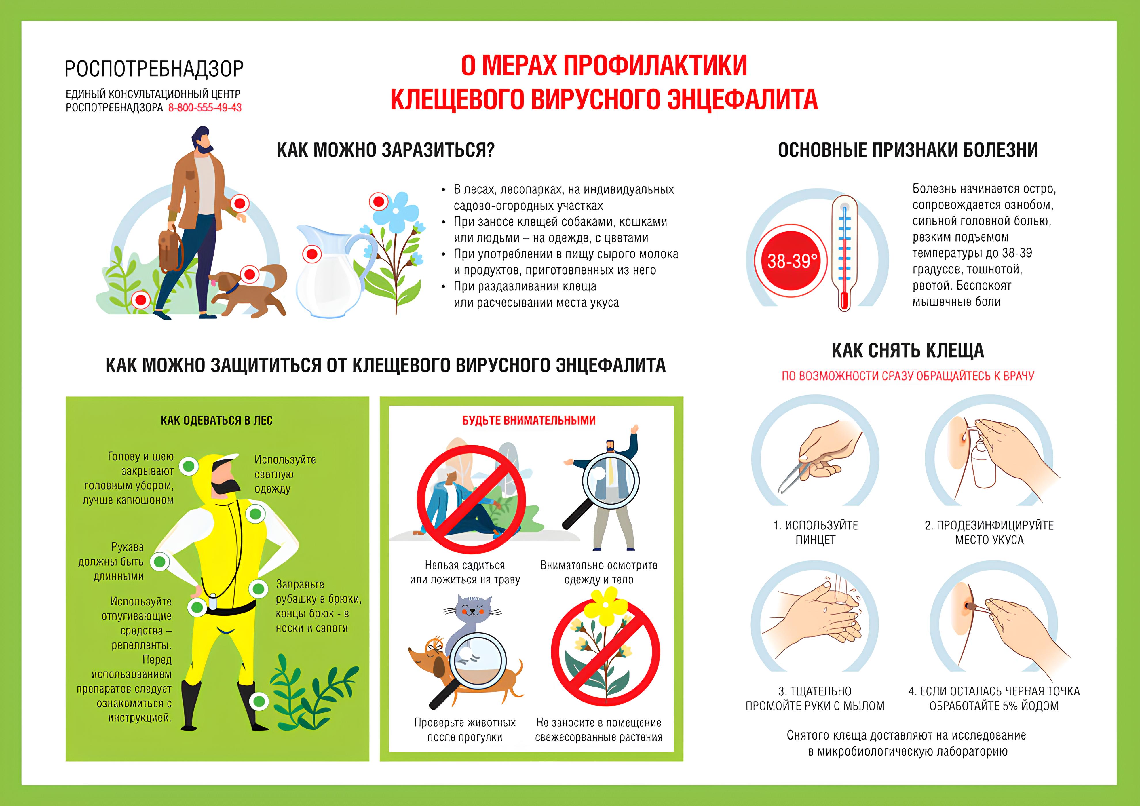 РЕКОМЕНДАЦИИ ГРАЖДАНАМ: Как защитить детей от клещей