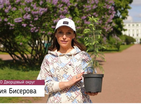 1703 | 2023 С Днём Рождения, Петербург!