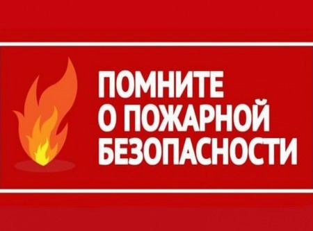 Пожарная безопасность в лесу!