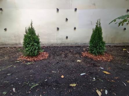  «Большой субботник»в Дворцовом продолжается!