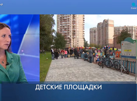 О Дворцовом рассказали в прямом эфире