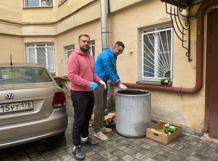 Озеленение в Дворцовом 