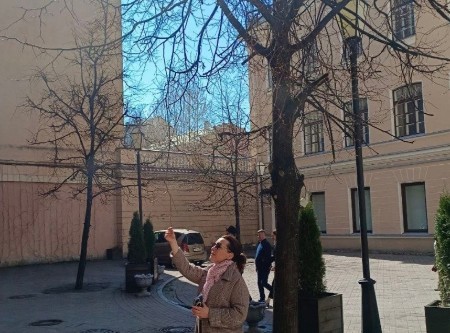 «Спилить или сохранить?» вот в чем вопрос