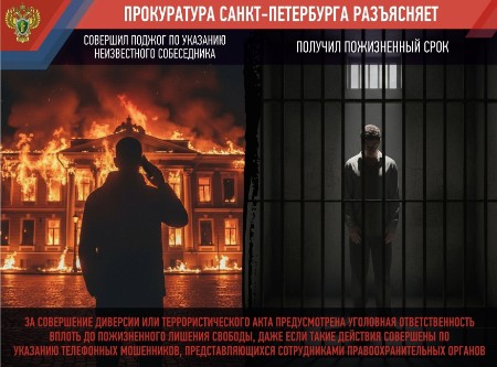 К диверсии и террористической деятельности относятся