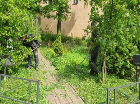 В Дворцовом начался покос травы