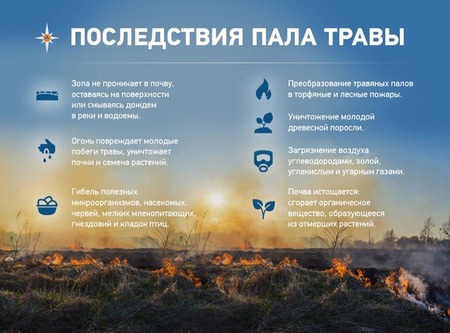 Последствия пала травы