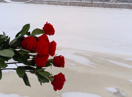 Блокадный адрес жизни