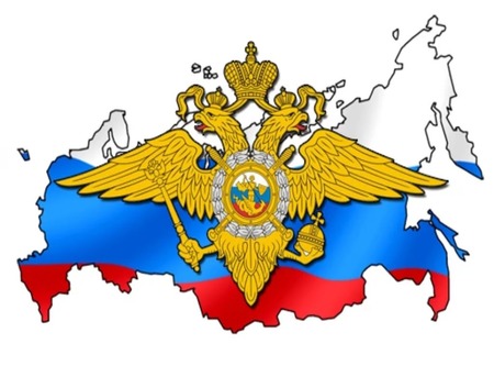Полицейские задержали подозреваемого в краже телефона