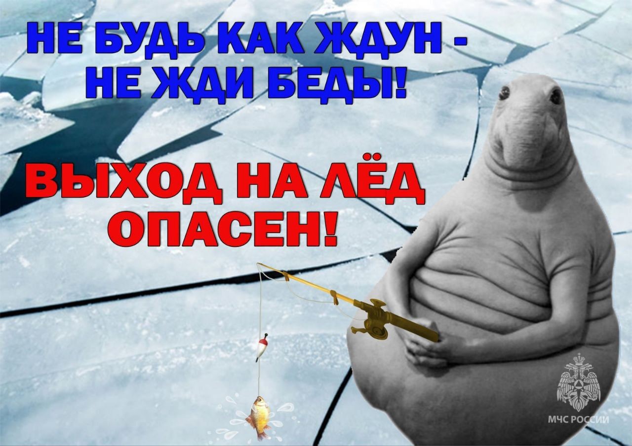 МЧС Санкт-Петербурга напоминает о смертельной опасности выхода на лёд водоёмов!